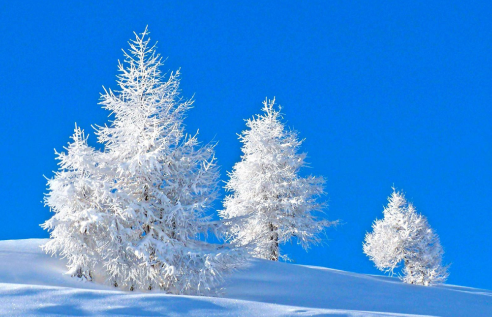 秀美景色壁纸,冰雪世界白雪风景