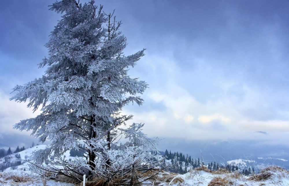 冬季雪景唯美壁纸,让人喜欢的白雪景色