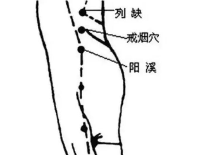 位置:位于列缺与阳溪之间 取穴:距桡骨茎突边缘,约一拇指之柔软处,有