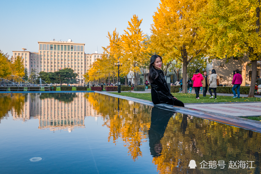 近日,清华大学主楼前喷泉水池成为校内热门景点,两旁金灿灿的银杏倒映