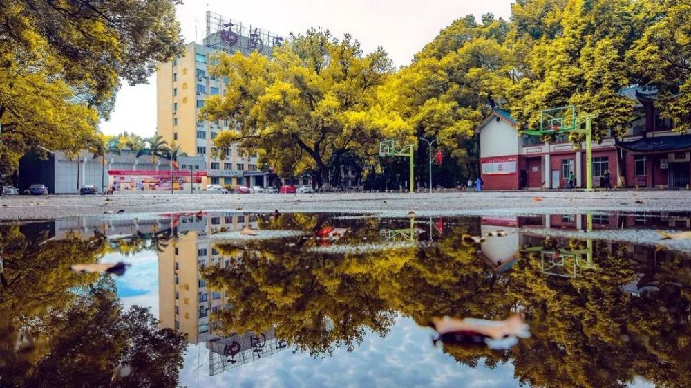 西华师范大学,四川大学