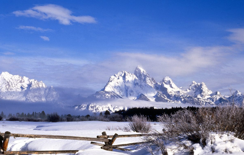 冬日雪景壁纸,银装素裹的世界,宛如仙境一般