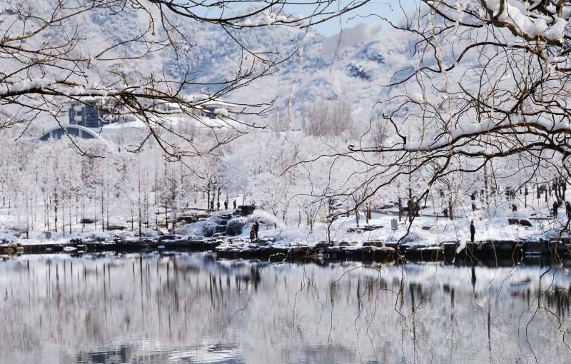 北京植物园雪景图片壁纸,银装素裹,宛如仙境