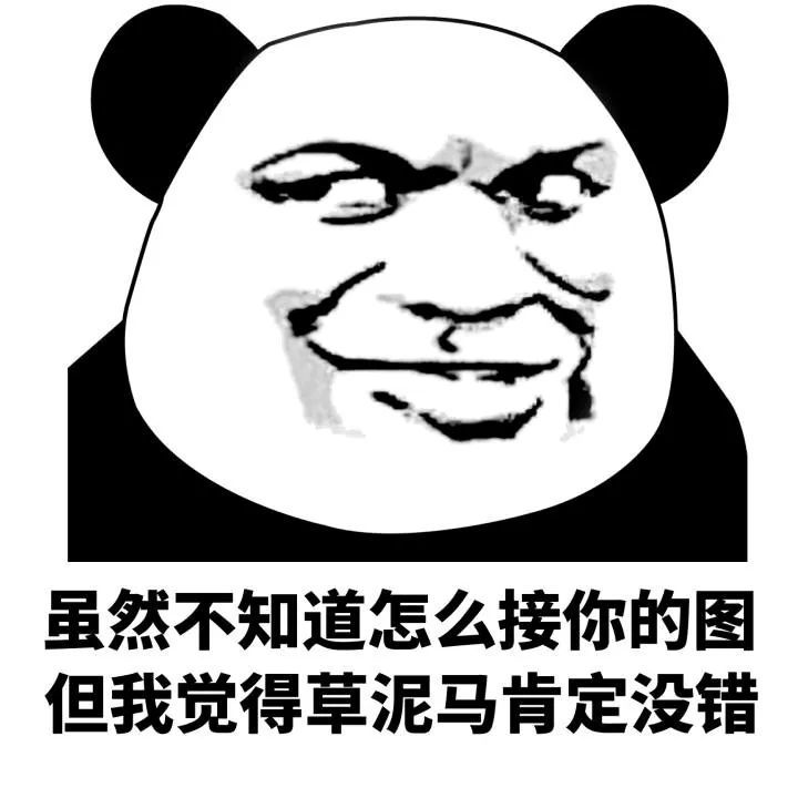 表情包,熊猫,幽默