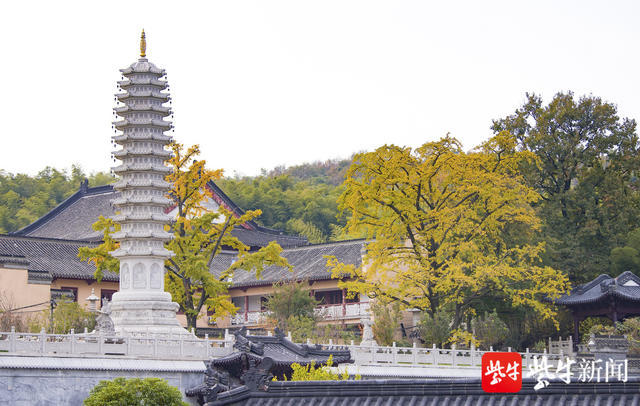 隆昌寺,句容宝华山,银杏树,古刹,无梁殿,舍利塔