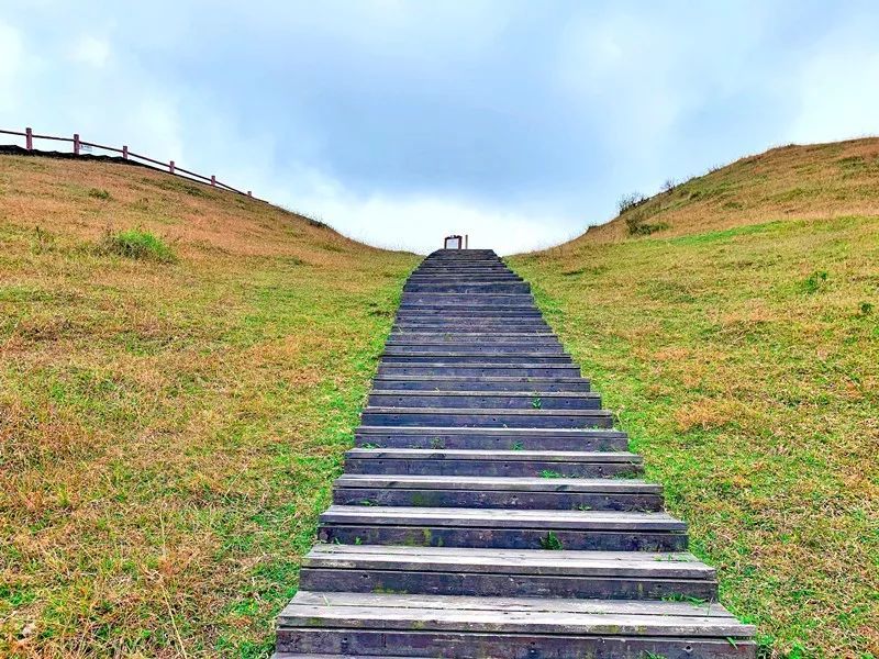 岑溪天龙顶景区门票免费了,快约起来