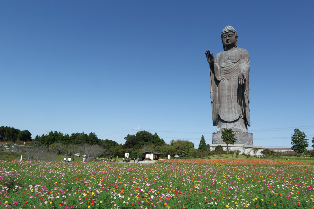 牛久大佛,日本 地理位置:2083年在日本茨城县 身高:120 米(390英尺)