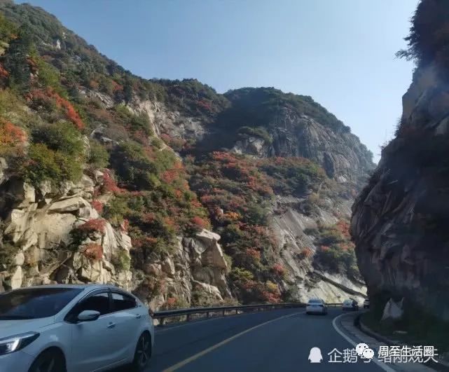 黑河国家森林公园,周至县,黑河森林公园,陕西,秦岭,旅游景区