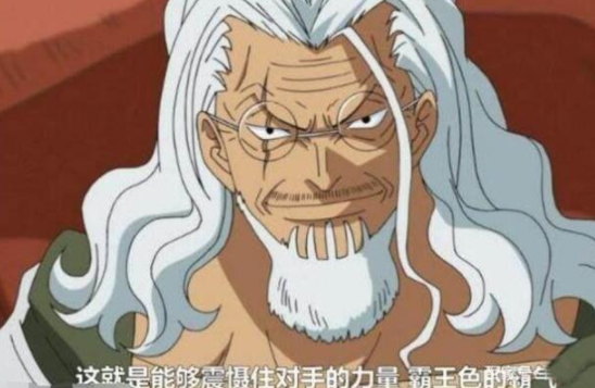 海贼王,蒙奇·d·卡普_动漫角色,雷利,博加特