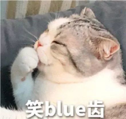 笑blue齿