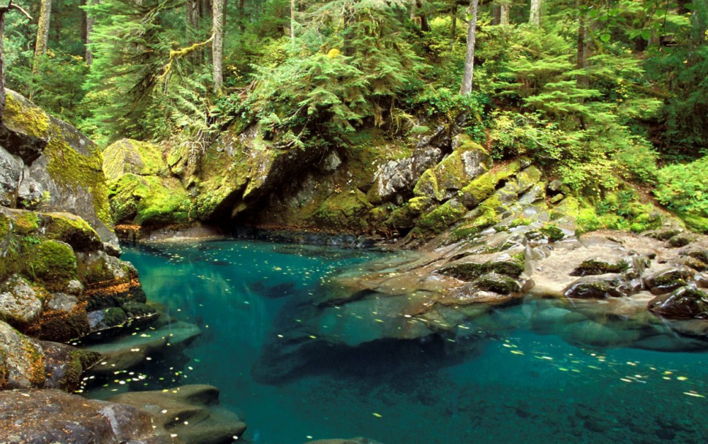 河流山川高清壁纸,溪流淙淙,清新的自然风景