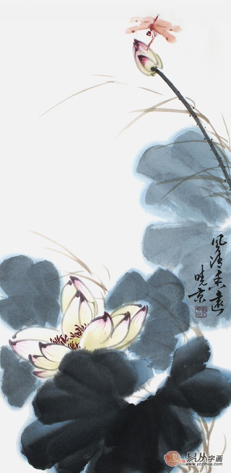 书法绘画:郑晓京老师写意花鸟画 诗意内存其中