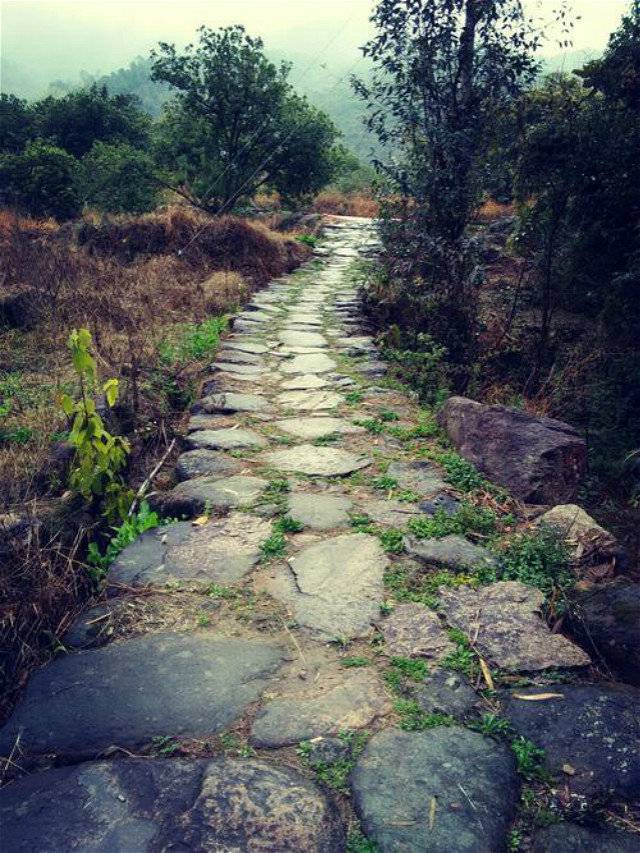 记忆里的那条坎坷回家路,路的尽头总有母亲期盼的眼神