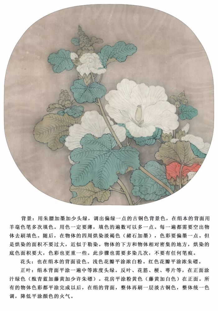 《教程》李晓明《临宋蜀葵图》绘制步骤 含详细文字解析