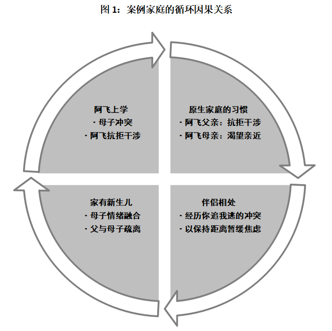 家庭系统理论在社工个案中的实际运用