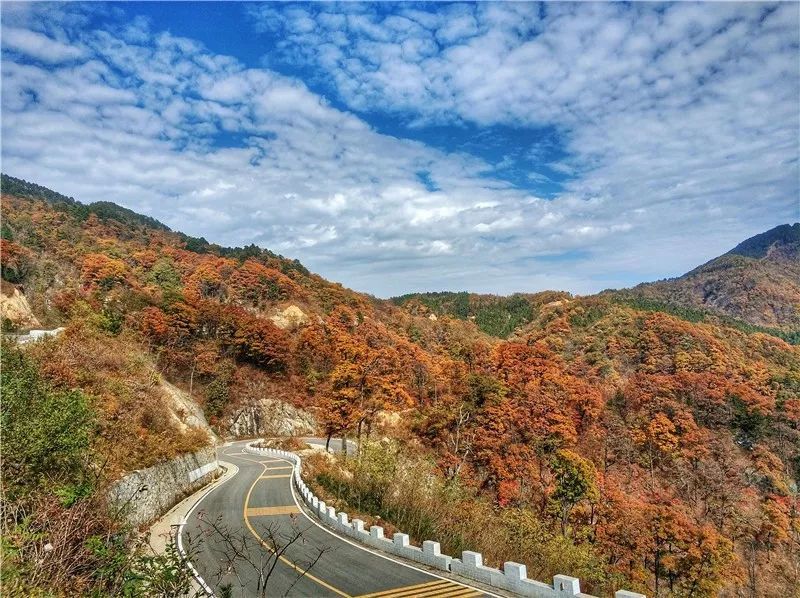 马鬃岭,金寨县,景区,花石乡,原始森林,陈明