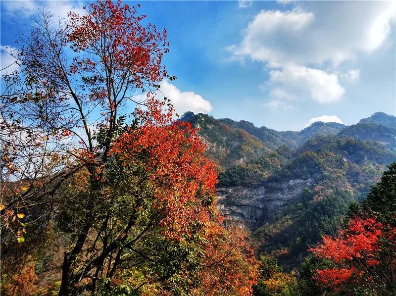 马鬃岭,金寨县,景区,花石乡,原始森林,陈明