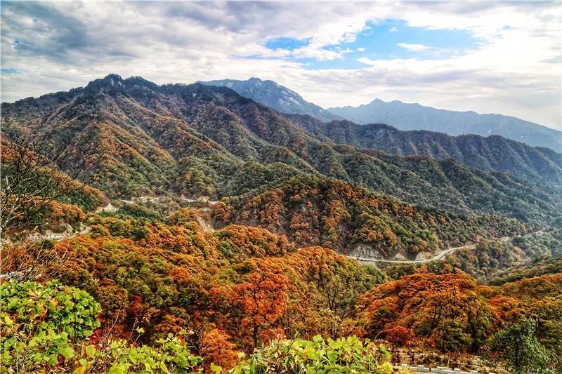 马鬃岭,金寨县,景区,花石乡,原始森林,陈明