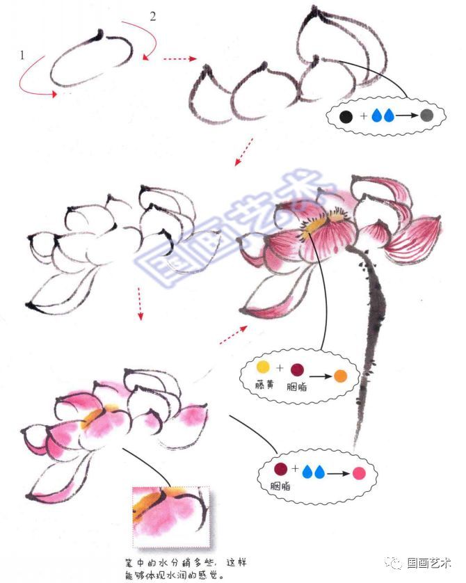 图文教程:写意荷花入门