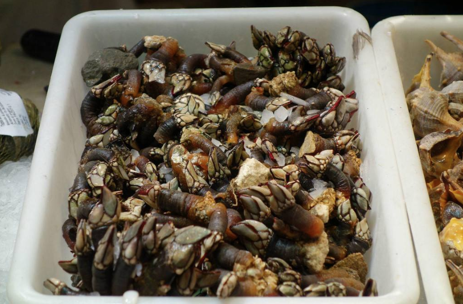 海鲜,鹅颈藤壶