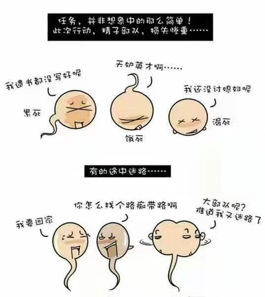 容易怀孕的女性都有这5个特征,占的越多能力越强