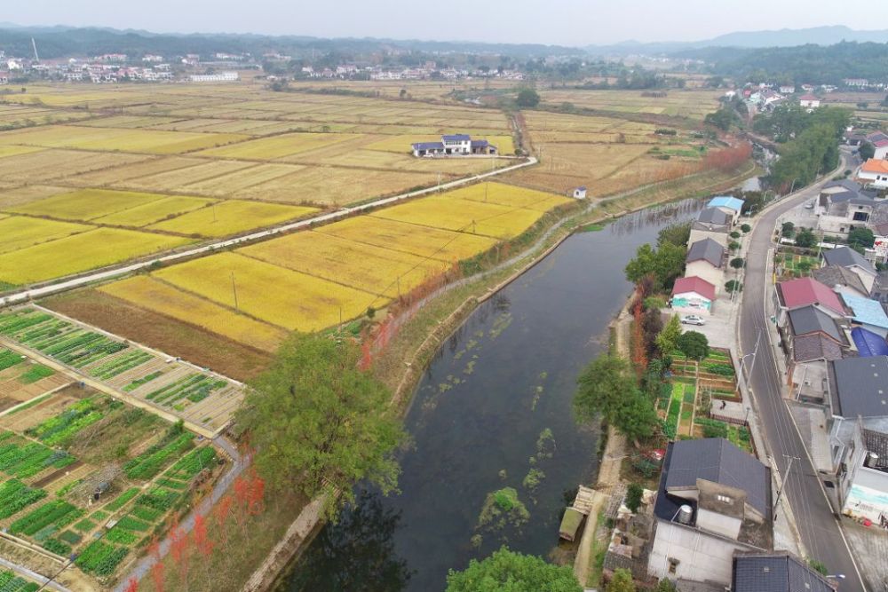 长沙县,春华镇,高桥镇,金桥村