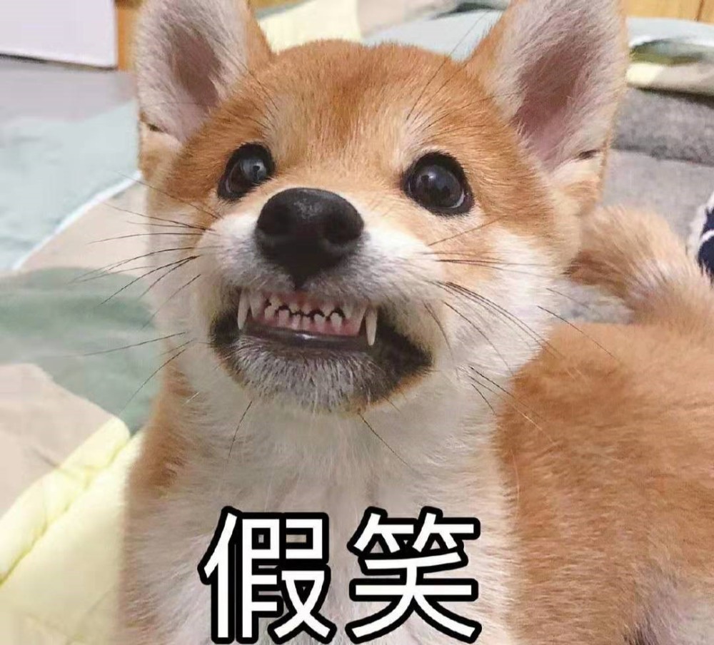 假笑通缉令—— 全网征集"谁是假笑第一人?"