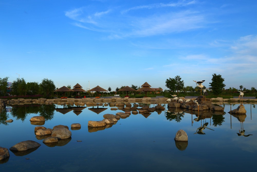 沙湖,景区,宁夏