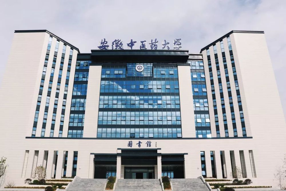 安徽中医药大学打造全省首个海外中医药中心