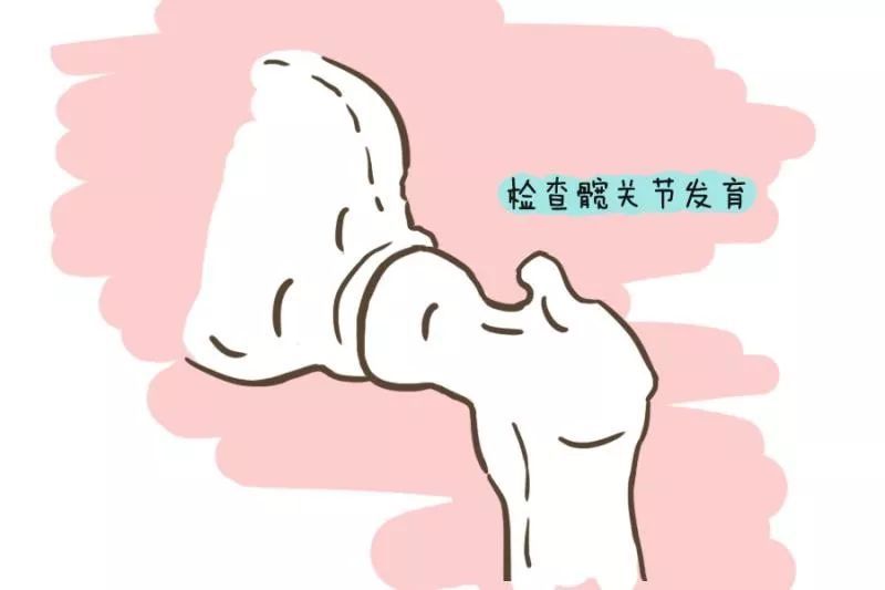 膝关节,宝宝,缺钙,髋关节发育不良,半月板