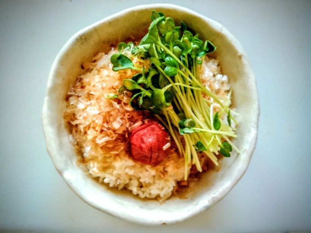 日本,留学生,猫饭,味噌汤,美食