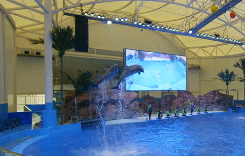 海底 海底世界 海洋馆 水族馆 泳池 游泳池 497_317 gif 动态图 动图