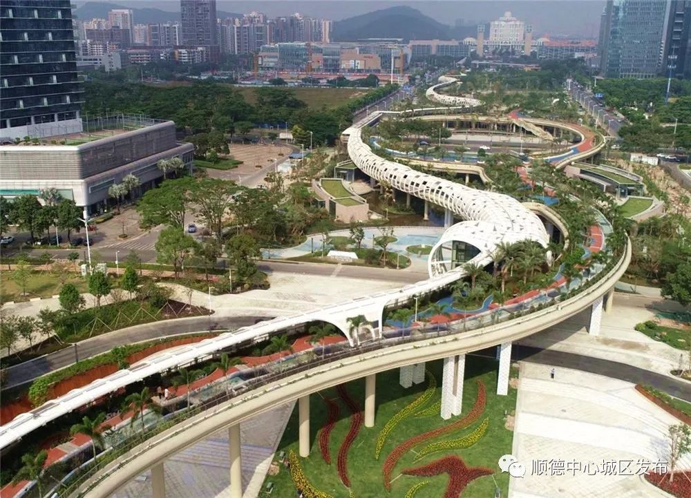 多图放送,顺德"金凤凰"来了!