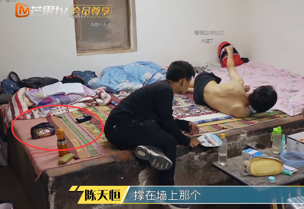 陈天恒,变形计,何山,床头
