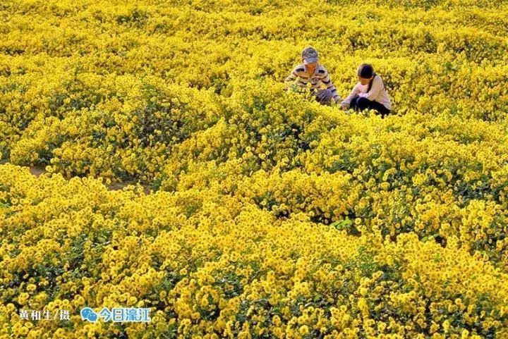 东湖村,侨乡,濠江区