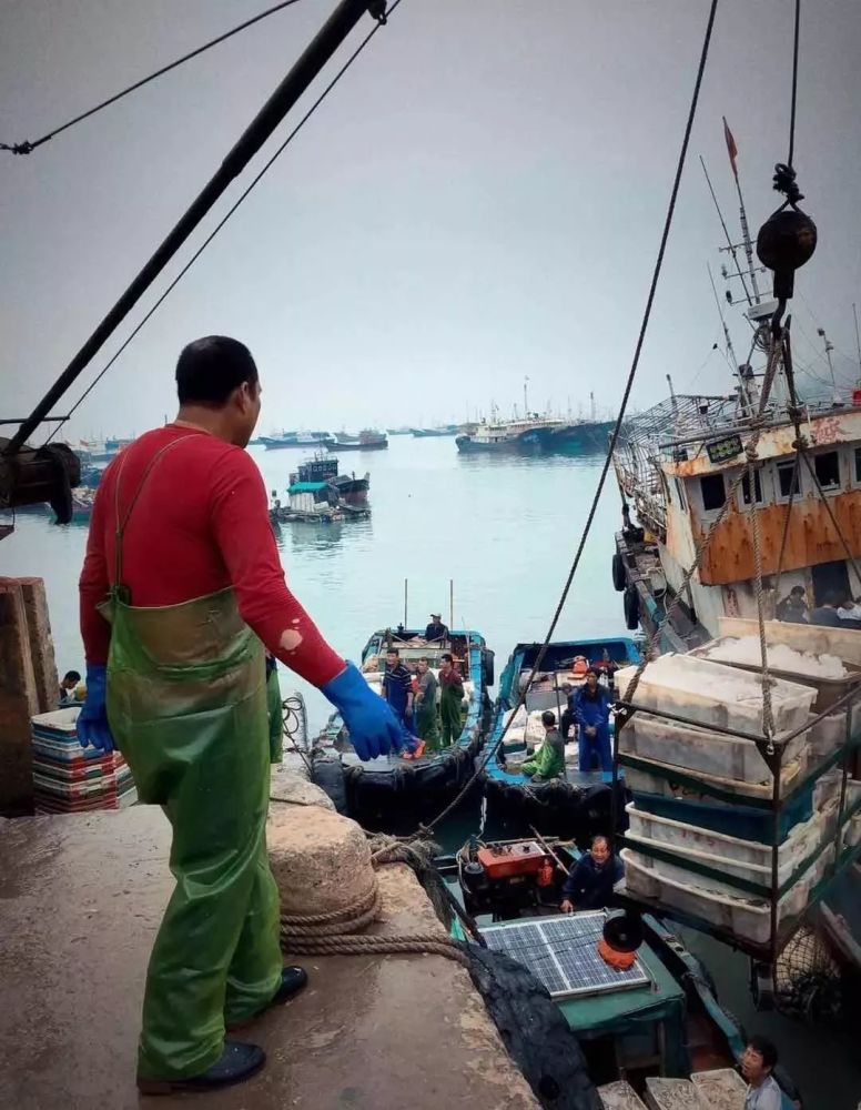 "码上"畅游霞浦:"食"在三沙