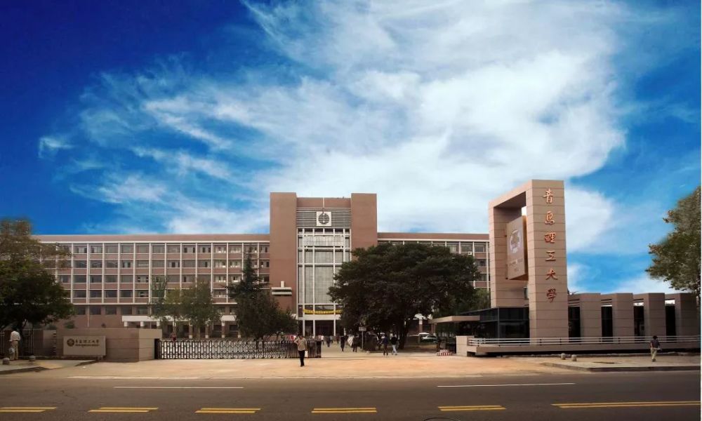 青岛理工大学(临沂)原名青岛理工大学费县校区,2006年经山东省教育厅