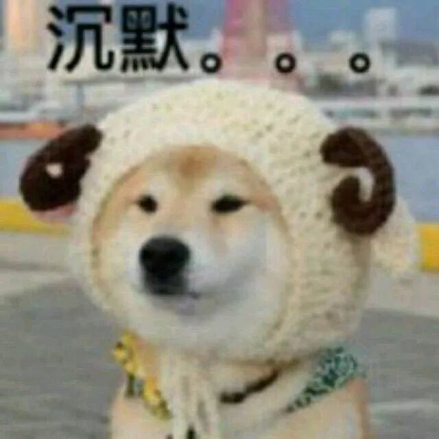 我服了,喷子这次赢了