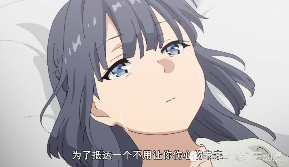 《青春猪头少年》结局你看懂了吗?作者用心良苦完美收场