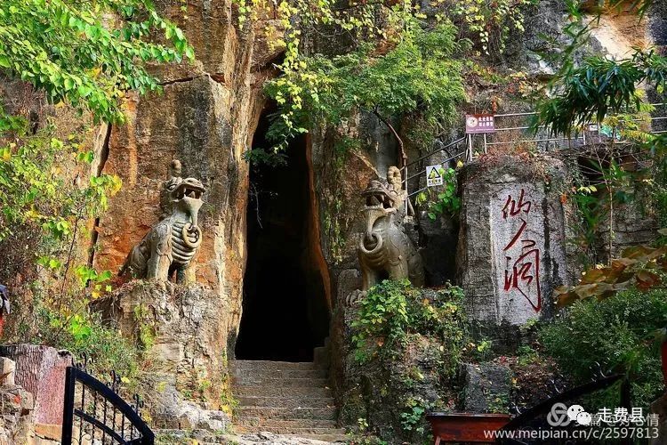 丛柏庵,仙人洞,费县,玉环,银杏