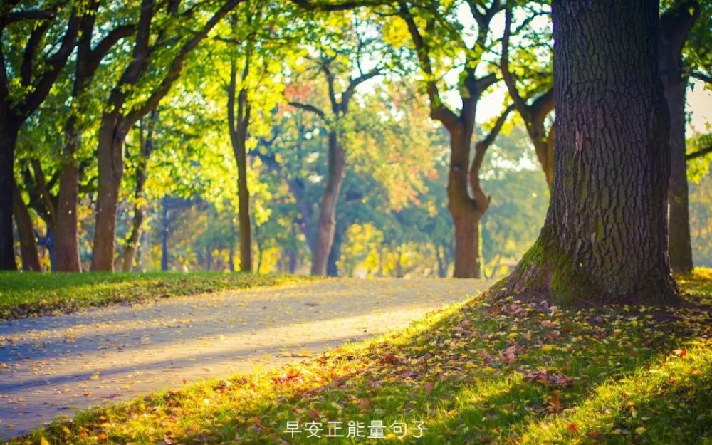 早安心语阳光句子 清晨的阳光唯美句子