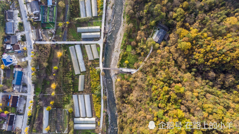 秦岭,留坝县,秋景