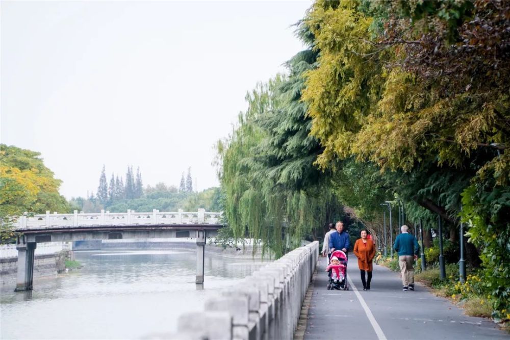 骑行,闵行,颛桥,早冬,张逸欢,金秋,凤凰城,枫叶,汤婧娴,梧桐大道