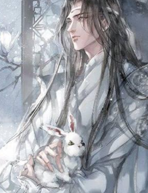 魔道祖师,蓝忘机