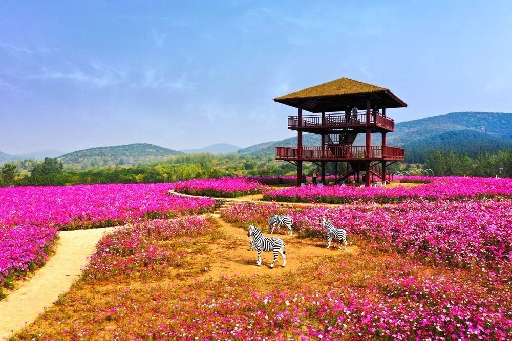 徐州,吕梁山风景区,倪园,铜山区,伊庄镇,江苏