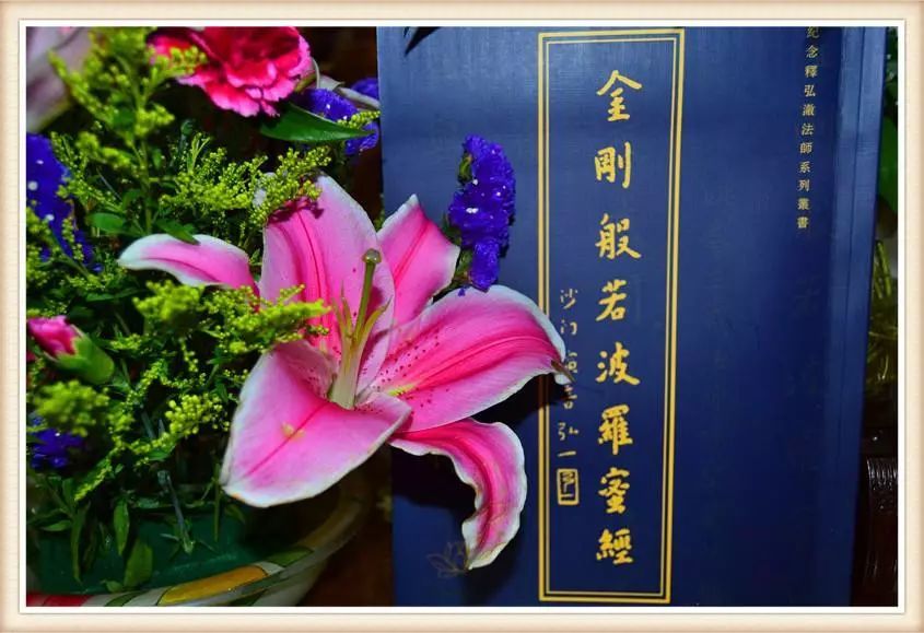 朋友圈素材/佛系禅意背景素材,一花一世界