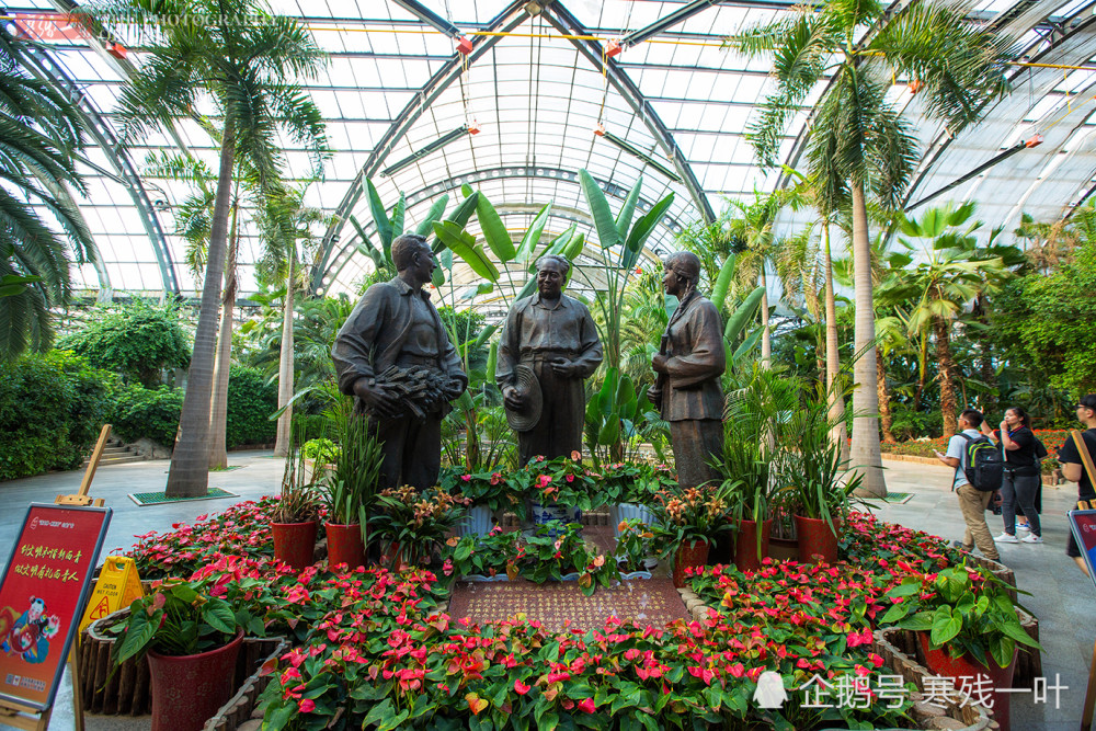 天津,热带植物园,观光园