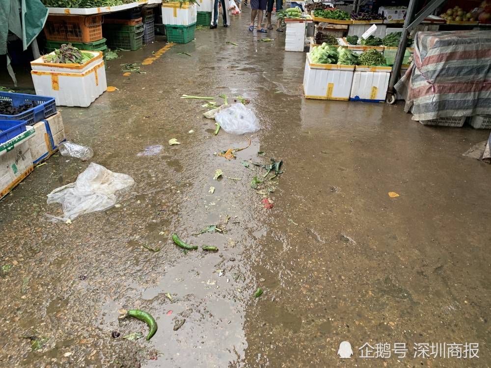 南山一农贸市场脏乱差蚊虫滋生,多次整改效果不佳,居民盼其搬迁