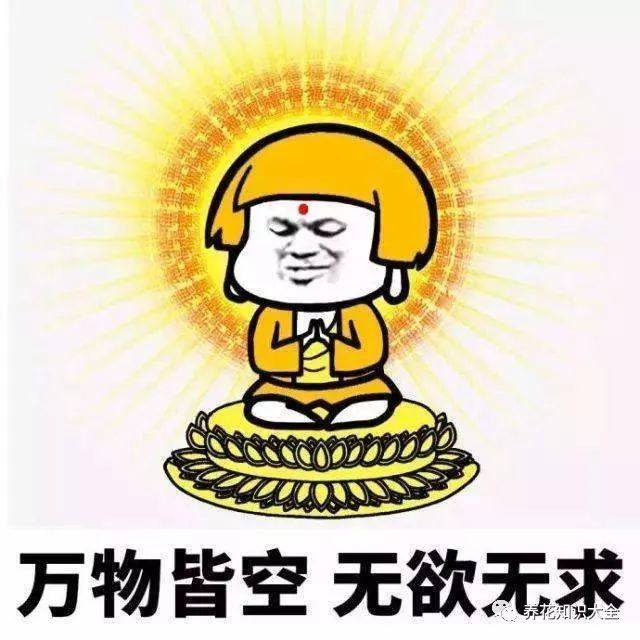 默默告诫自己,我是佛系养花,不生气,绝对不生气!