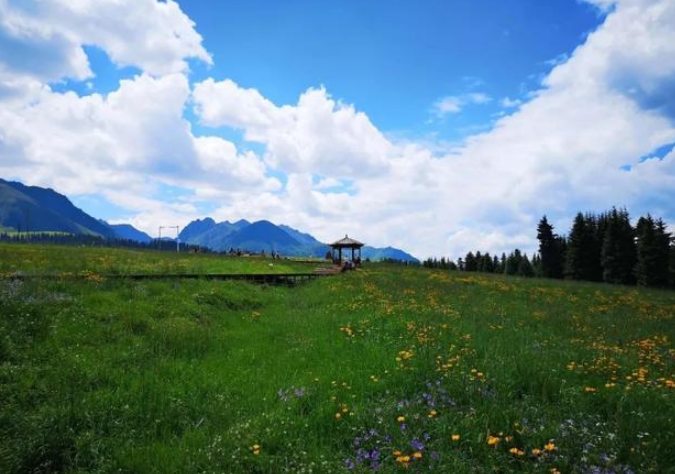 新疆,乌鲁木齐,新疆旅游,草原,天文台